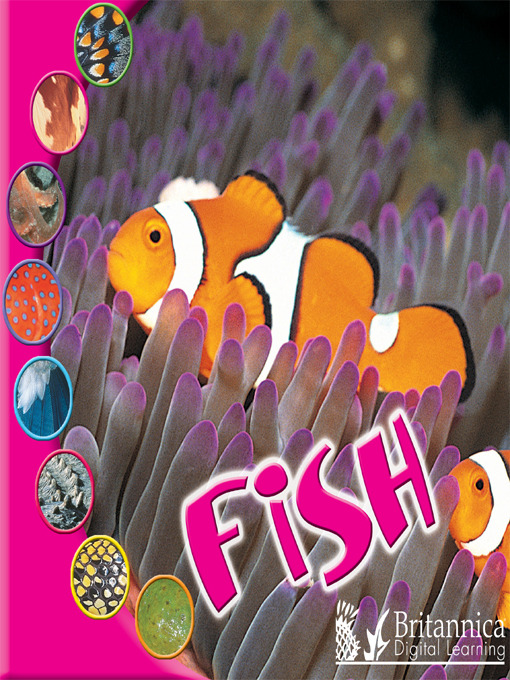 Title details for Fish by Ted O'Hare - Available